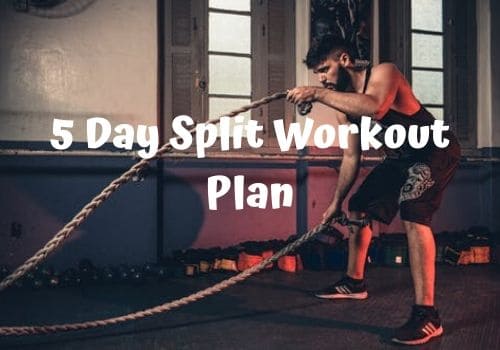 5 day split workout plan