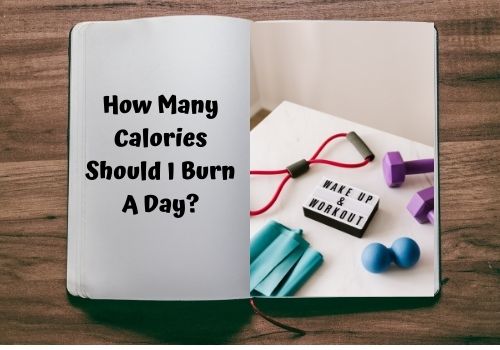 How Many Calories Should I Burn A Day?