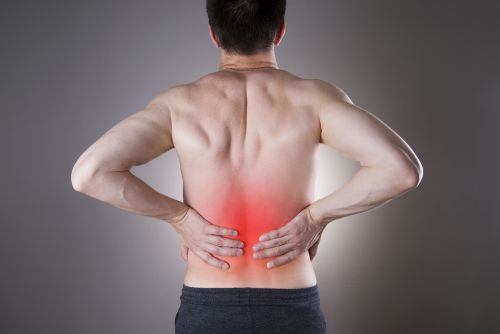 is rowing good for your back?