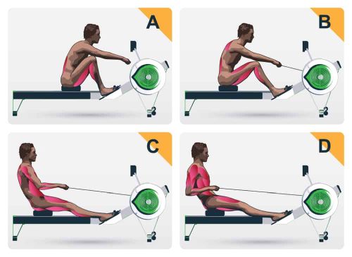 rowing session: on how rowing workouts tone your abs