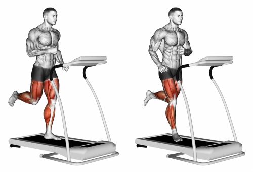 what muscles does incline treadmill work