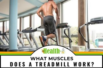 what muscles does a treadmill work